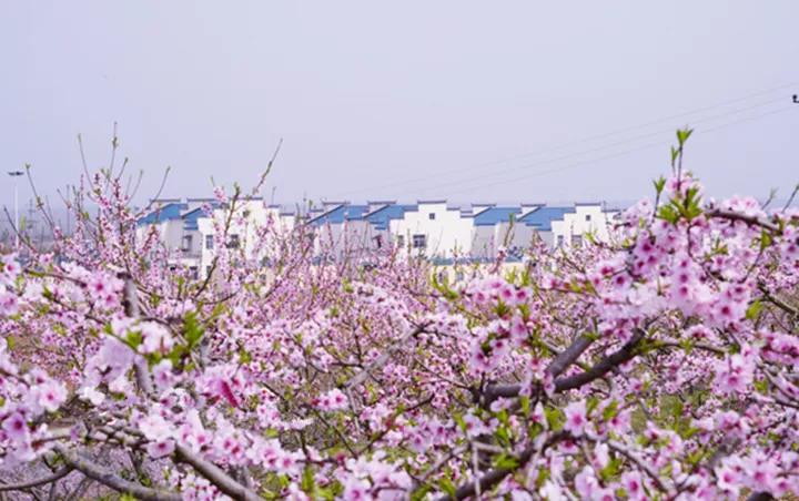 微信图片_20201221085229.jpg