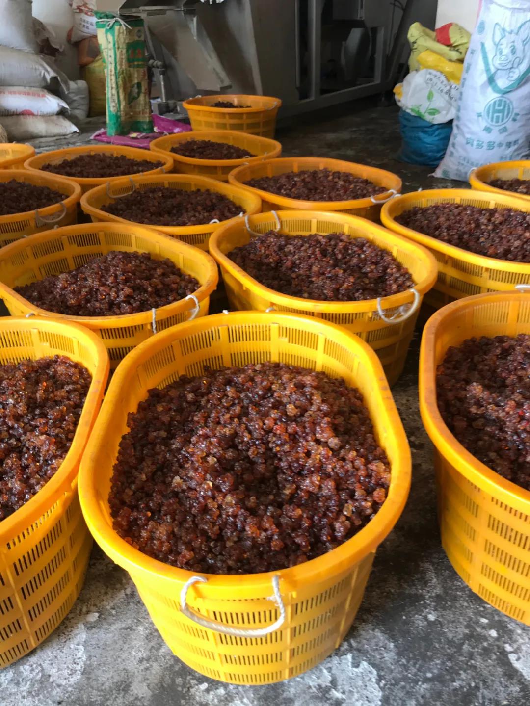 微信图片_20201221090833.jpg